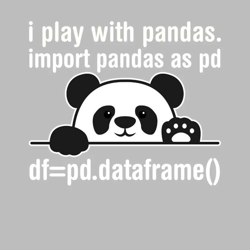Programmeur Python Programmation panda nerd informatique