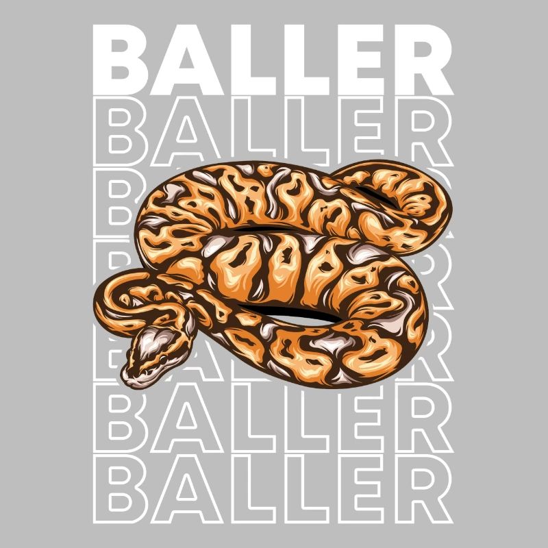 Ball Python 80's Style Baller Royal Python Snake