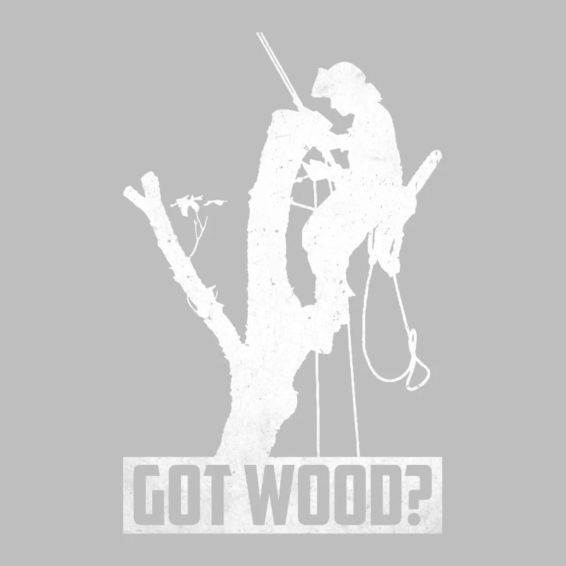 Arborist Arborist Tree Climber Tree Climbing
