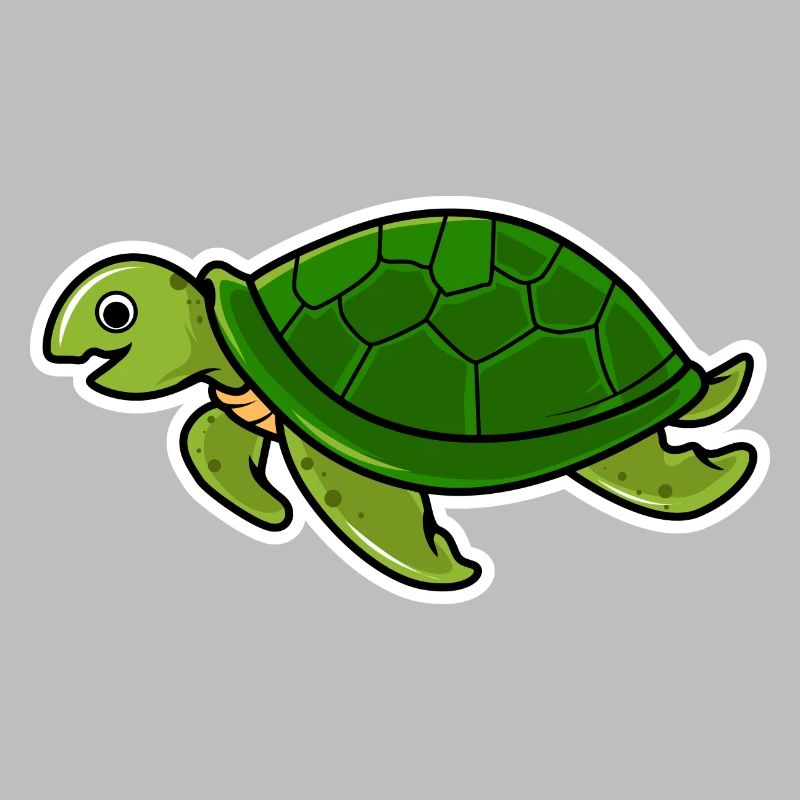 turtle