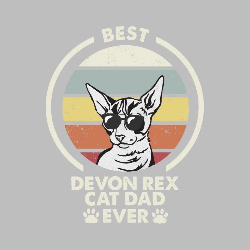 Papa chat - Devon Rex Chat