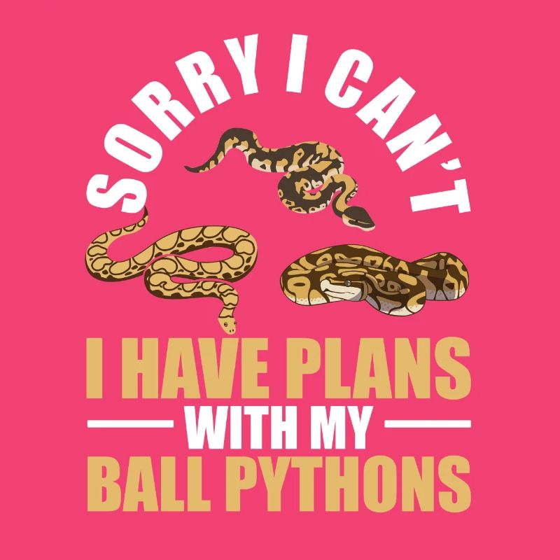 Plans Avec Mes Python Rois De Serpent