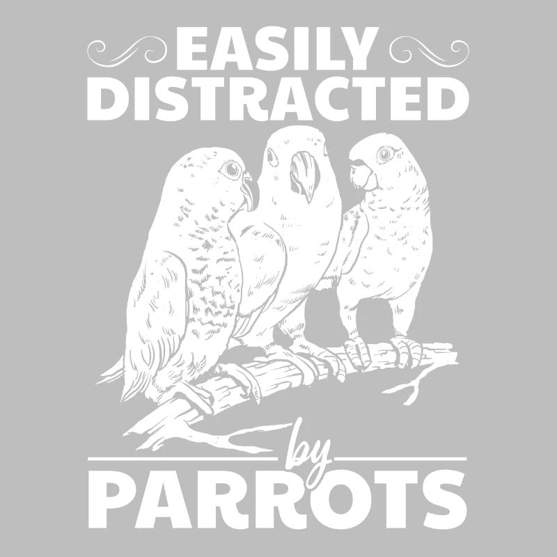 Parrot bird lovers easily from parrots