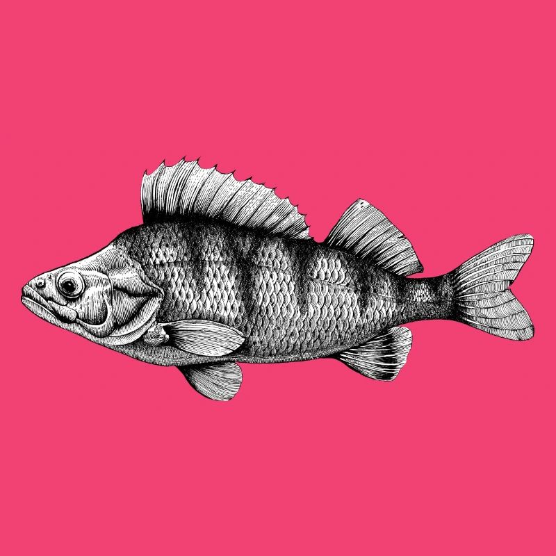 perch