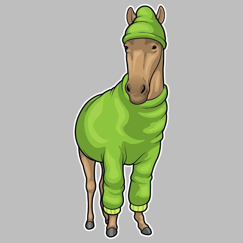 Pferd Pullover Mütze