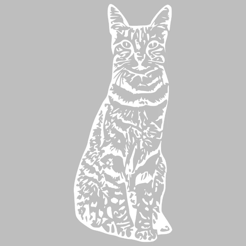 Chat chat chaton
