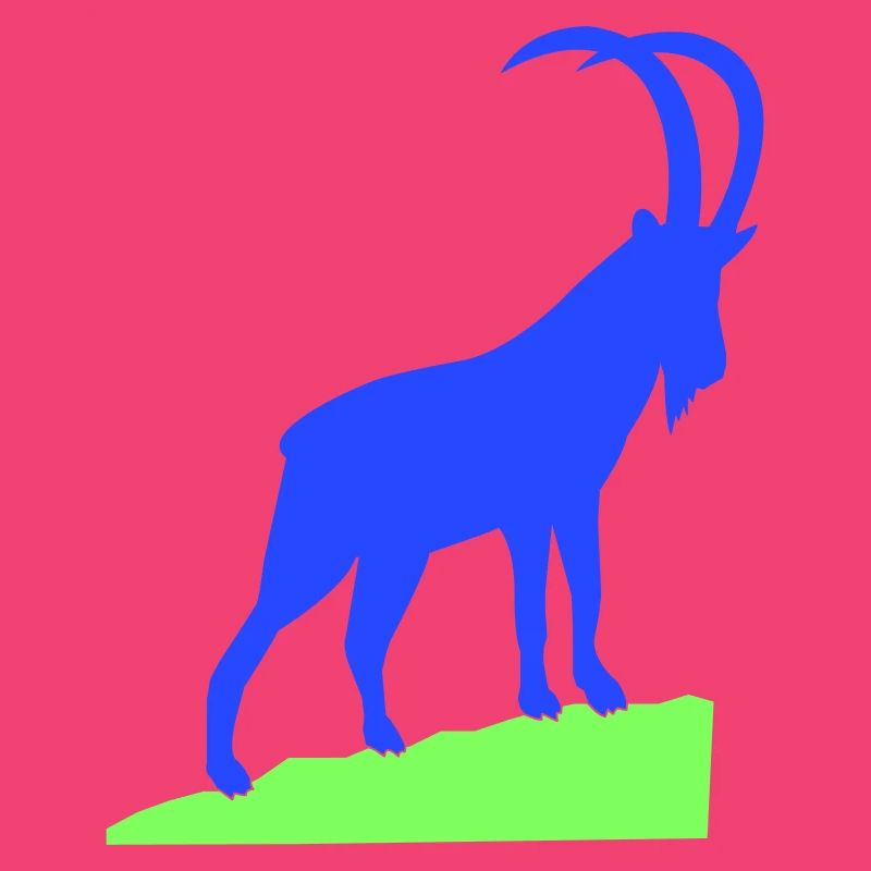 Capricorn