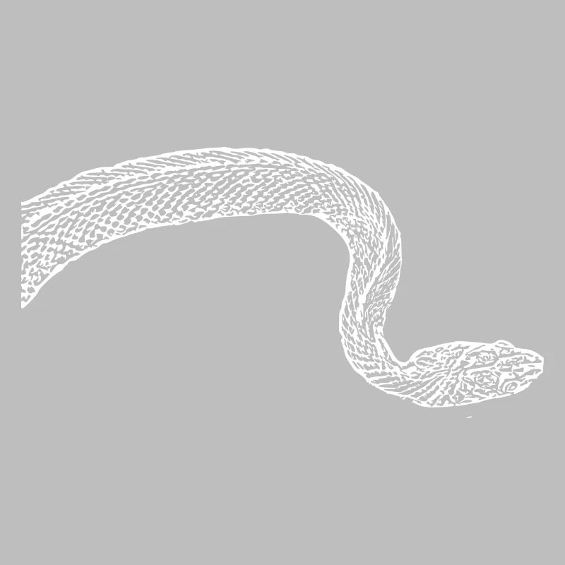 Snake Snakes