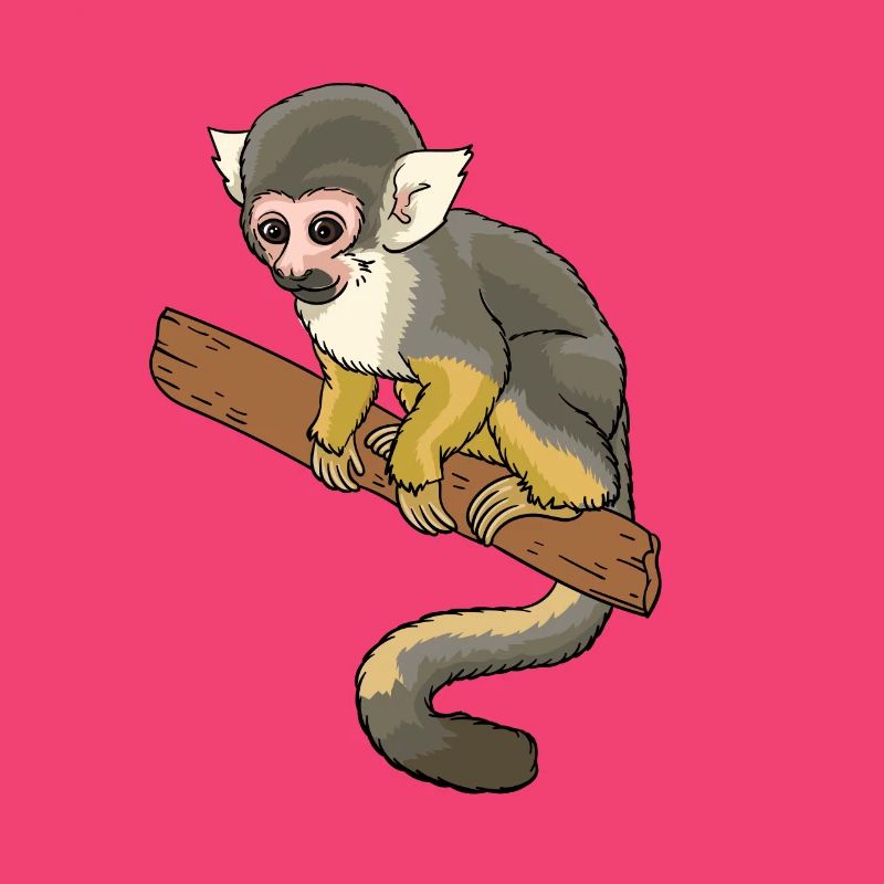 Squirrel monkey squirrel monkey primate
