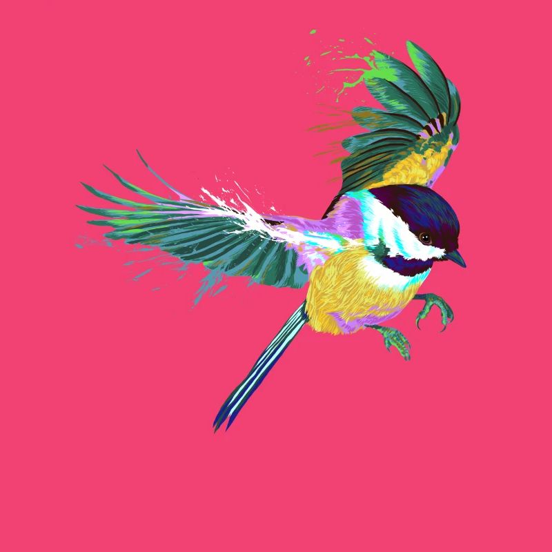 Flying Splash Bird Chickadee