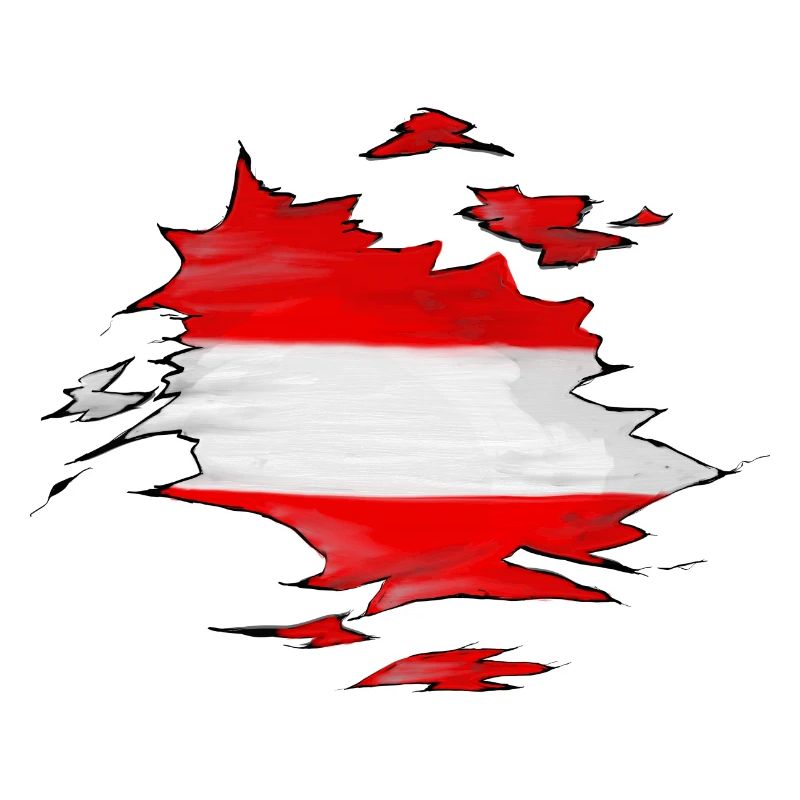 The Austrian flag