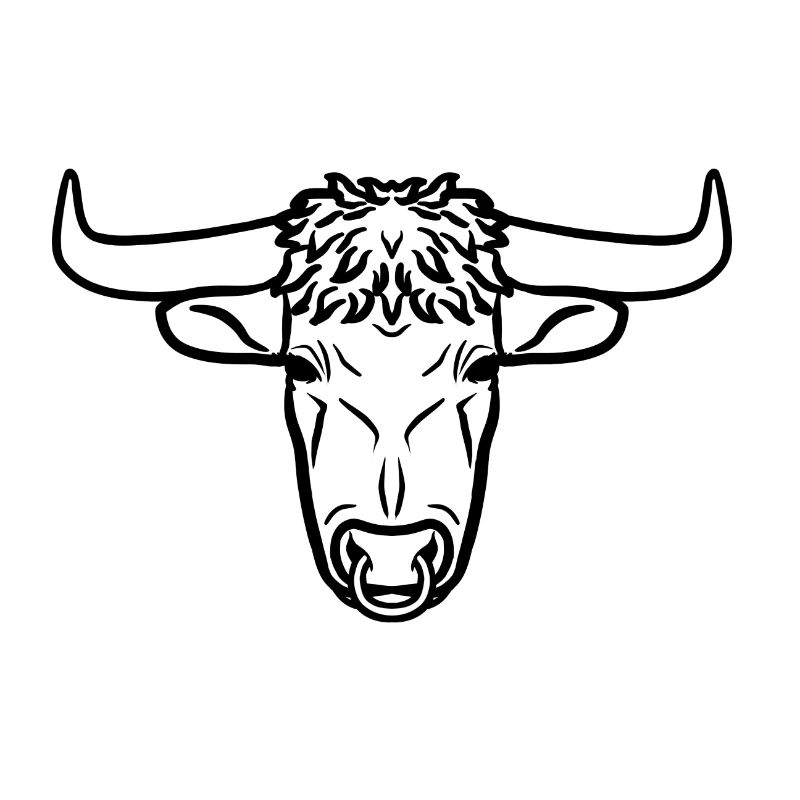 Taurus black