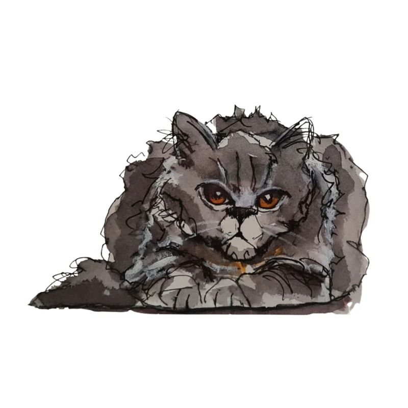 Fiese Katze