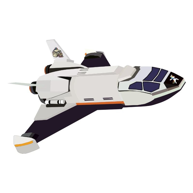 Vol de la navette spatiale
