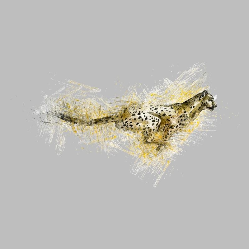 Gepard