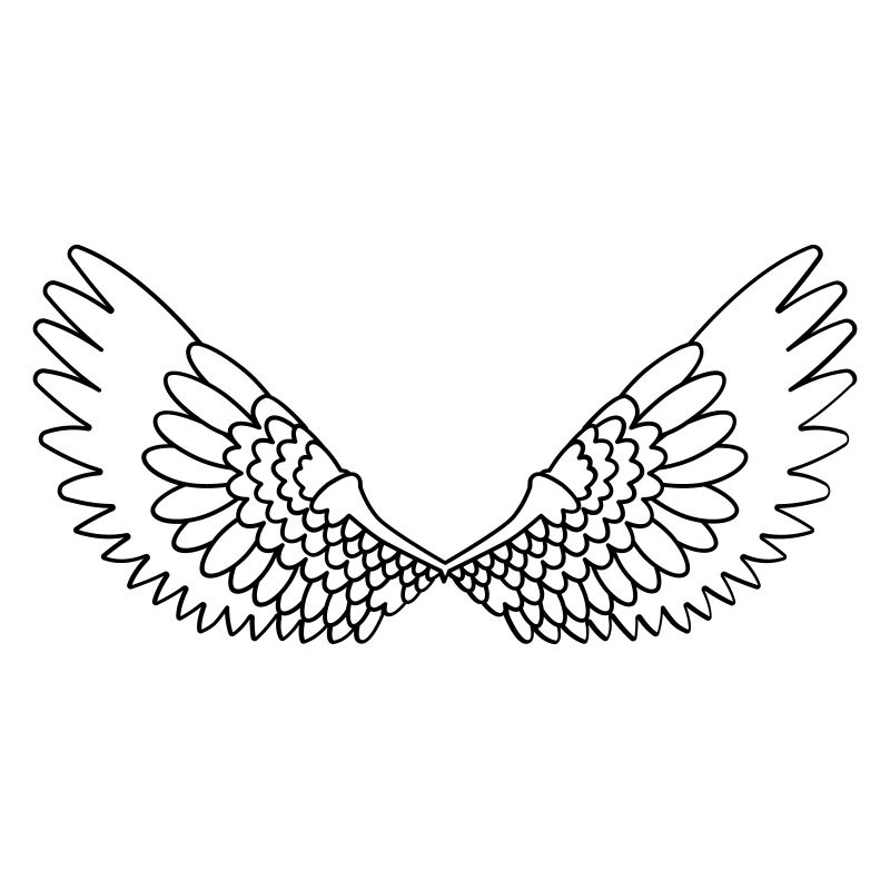 Open wings with feathers