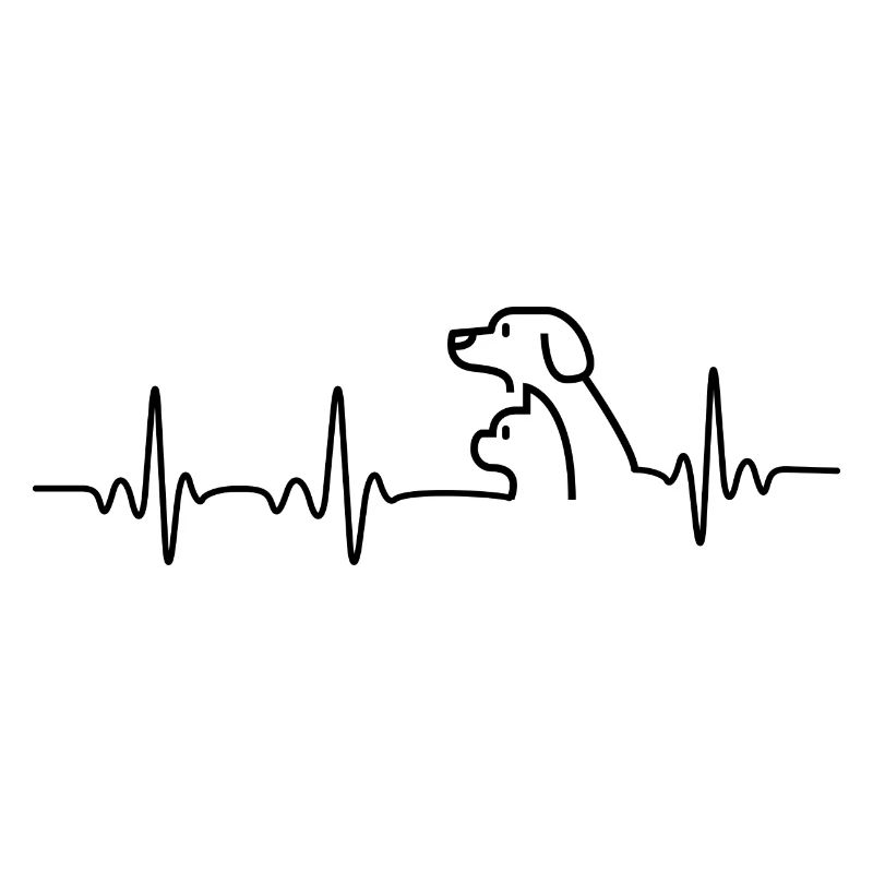 Herzfrequenz Katze und Hund