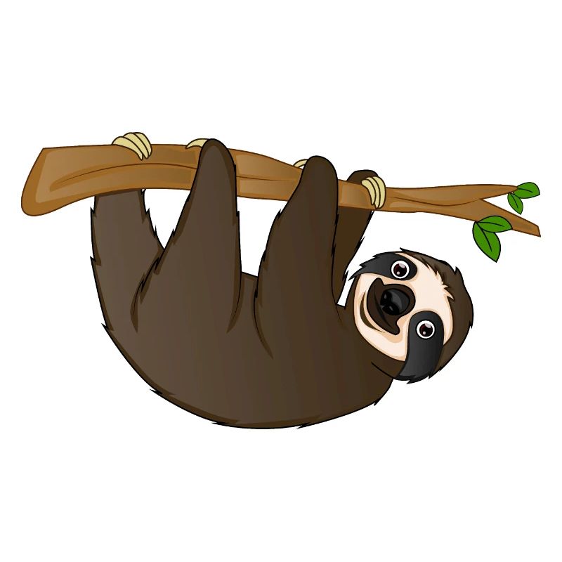 sloth