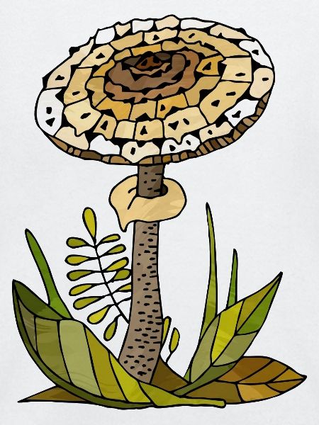Pilz