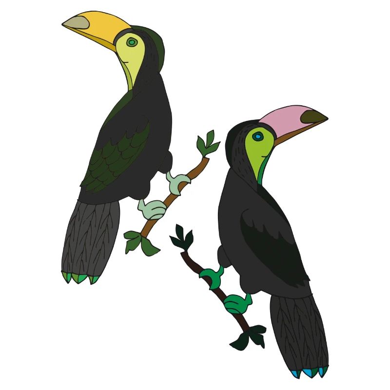 Toucan Deux