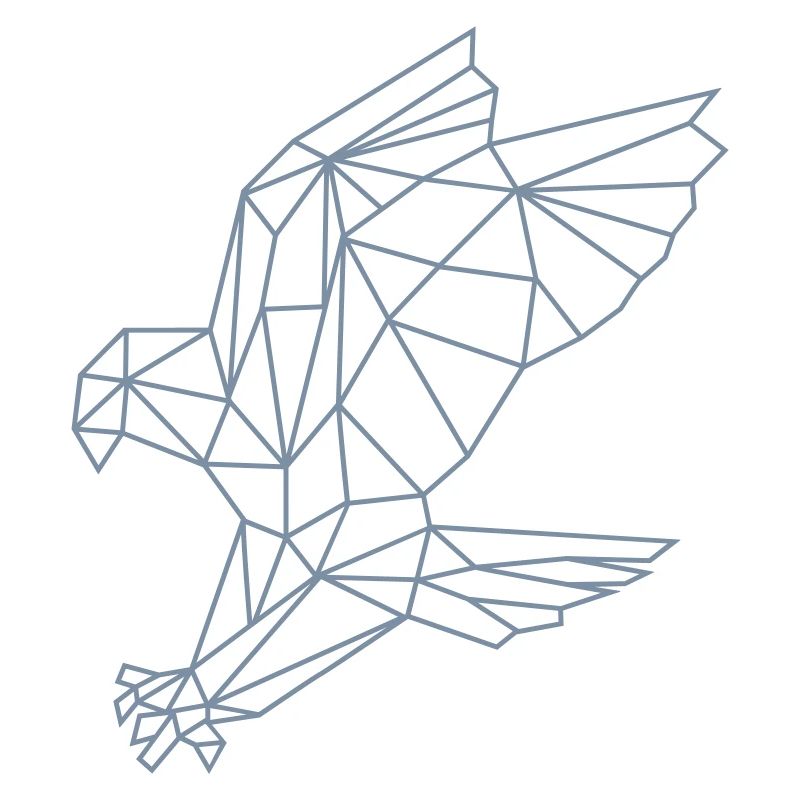 Eagle | polygons