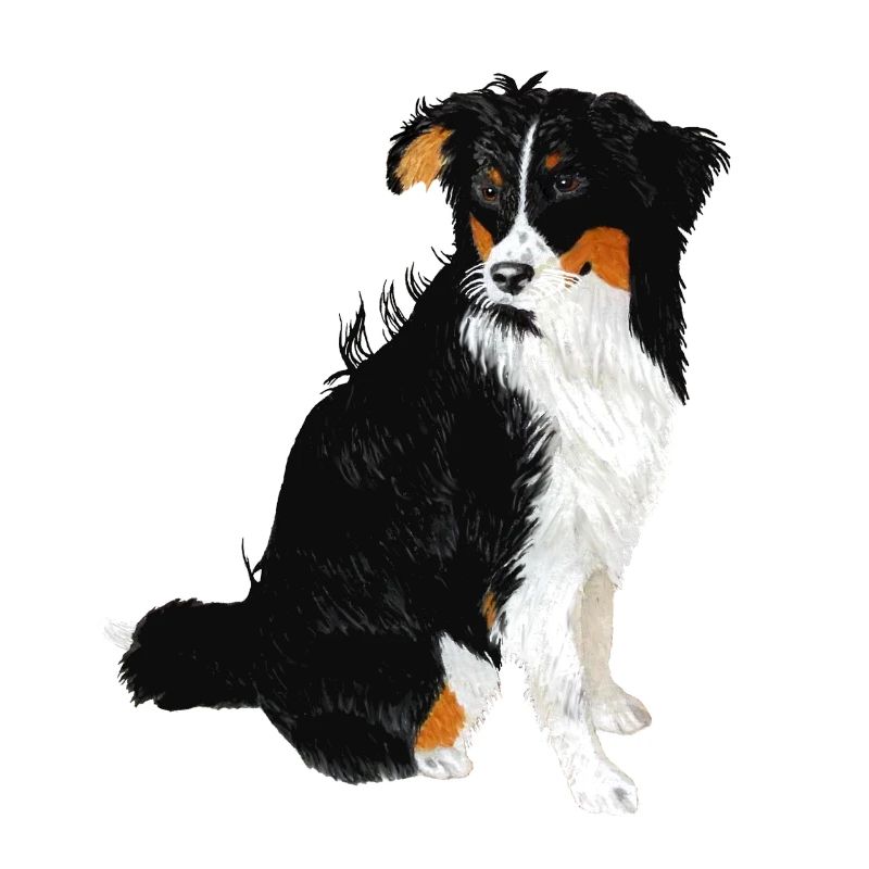 Aussie Nanouk, assis - Aquarelle