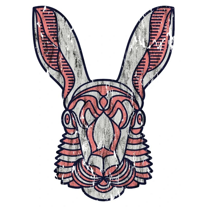 Hase