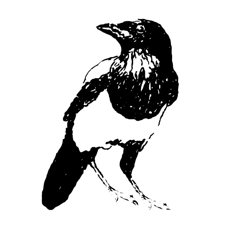 Pie Oiseau * Conception Jack Joblin