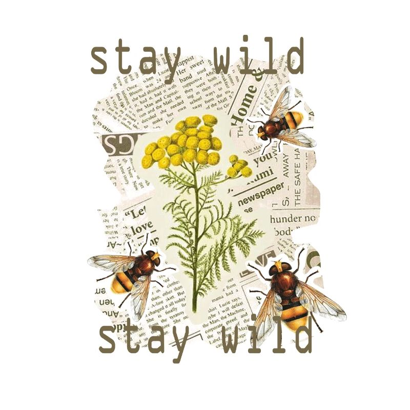 Restez sauvage, nature, fleurs, abeille
