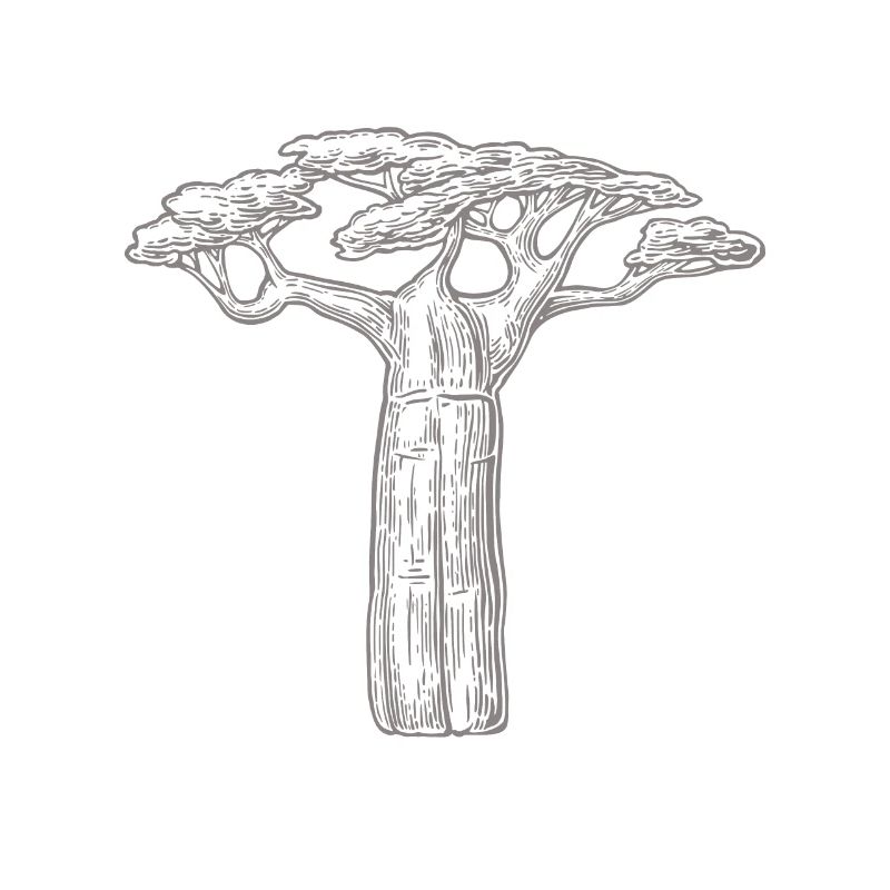 baobab trees lover gift Africa Graphic