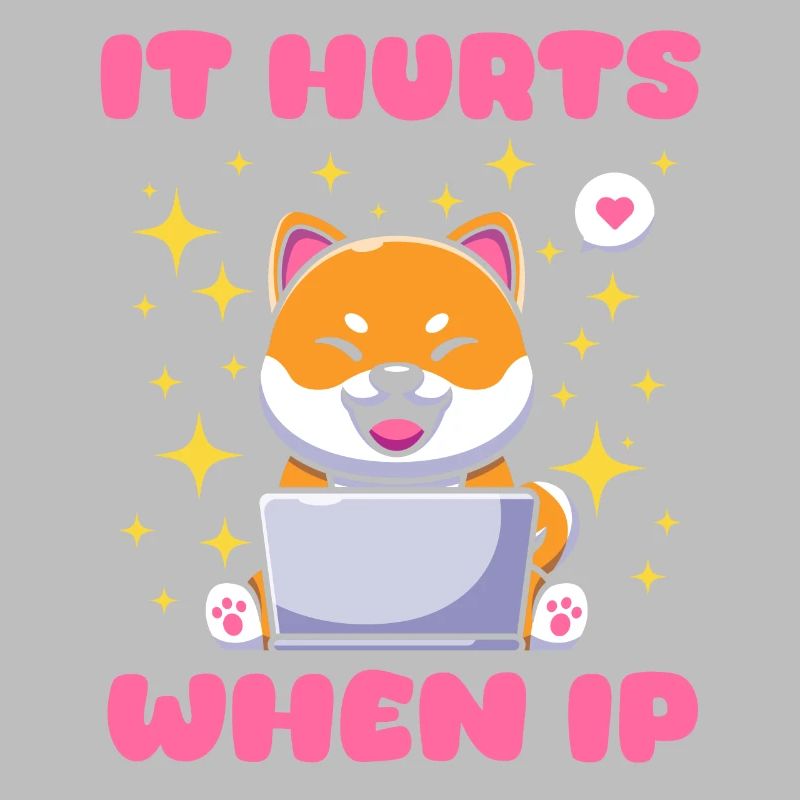 IT Geek, PC Zubehör Speichergeräte Evolution