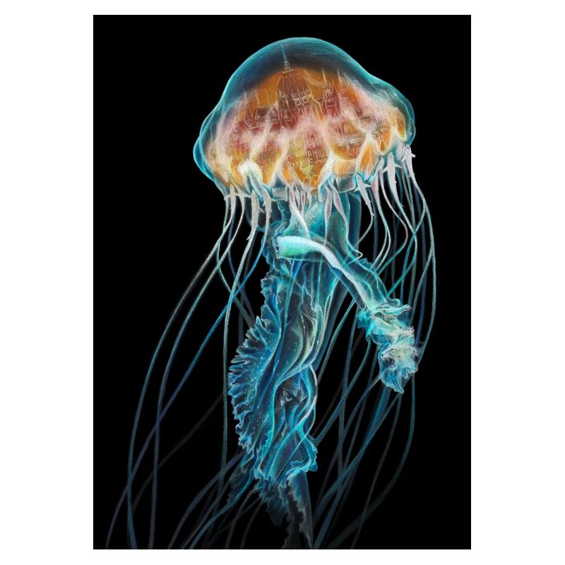 Mysterious jellyfish