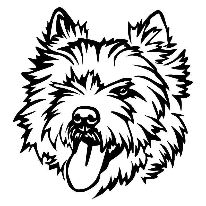 Cairn Terrier Head