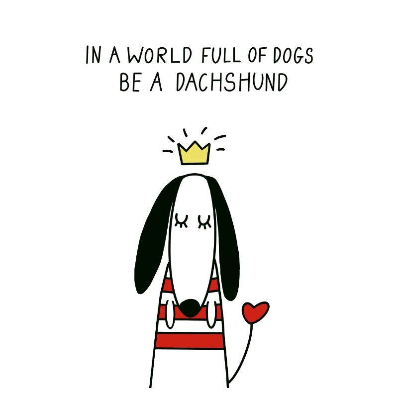 DACKEL DACHSHUND TECKEL DACKELLIEBE DAGGEL