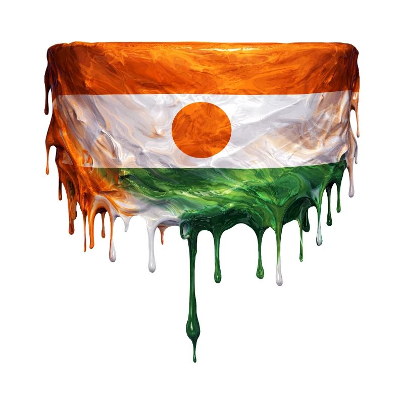 Niger Flag Drop Art