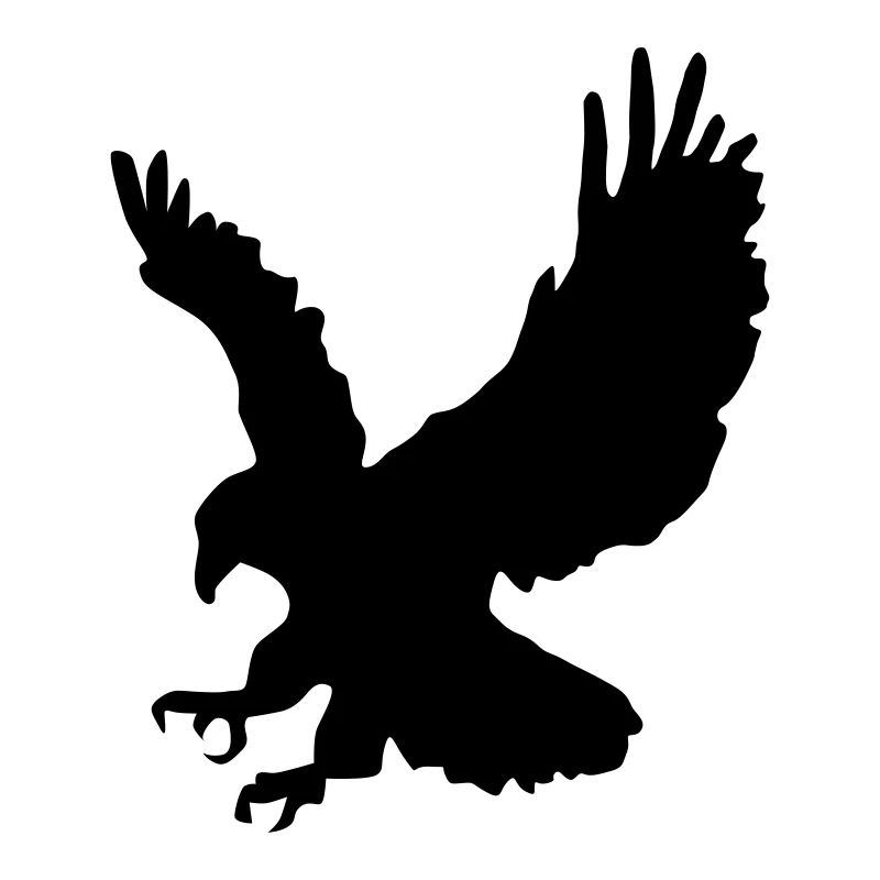 Swooping Hunting Eagle