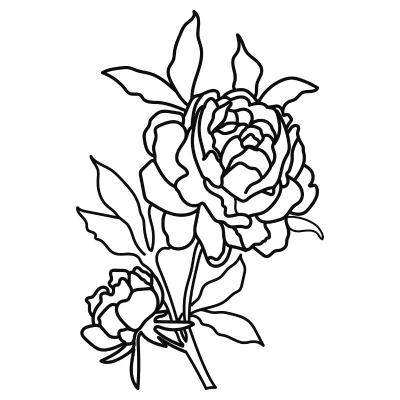 Line Art Rose