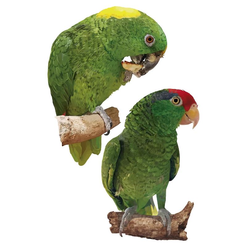 Perroquets
