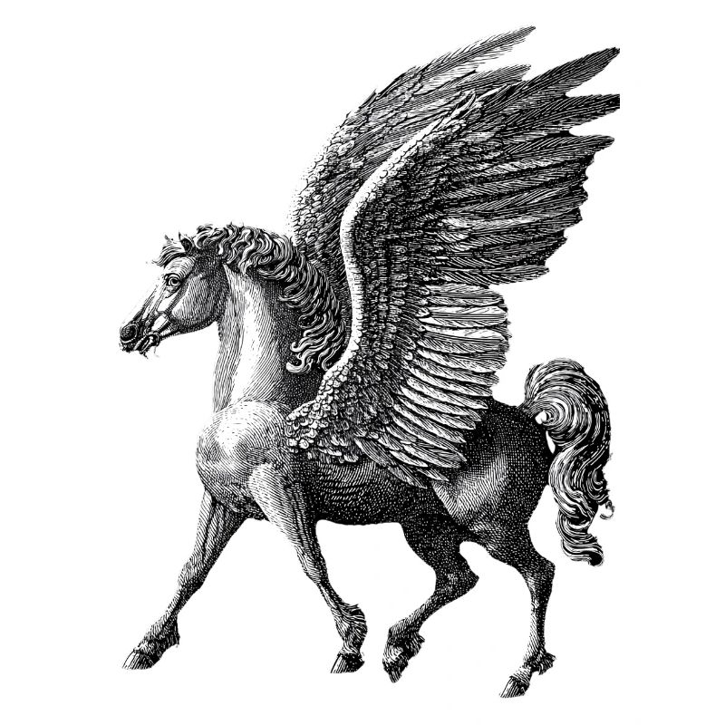 Winged Pegasus – Mythological Engraving