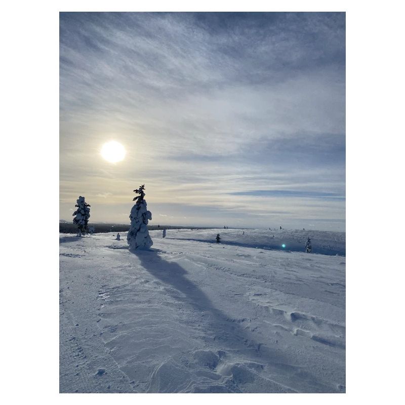 Winterlandschaft in der Sonne
