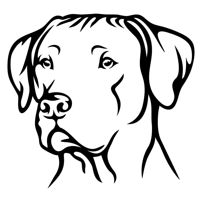 Rhodesian Ridgeback
