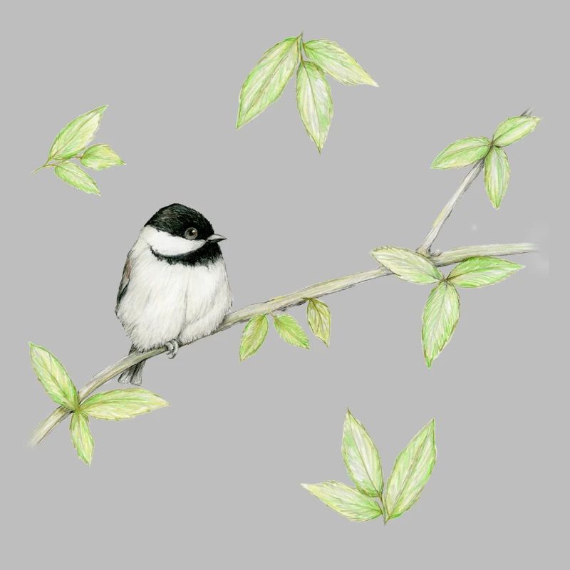 Eine Bleistiftzeichnung eines Mattenkopfes oder Glosskopfes