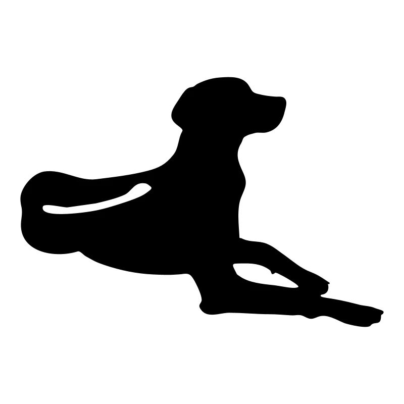 Rhodesian Ridgeback - liegend