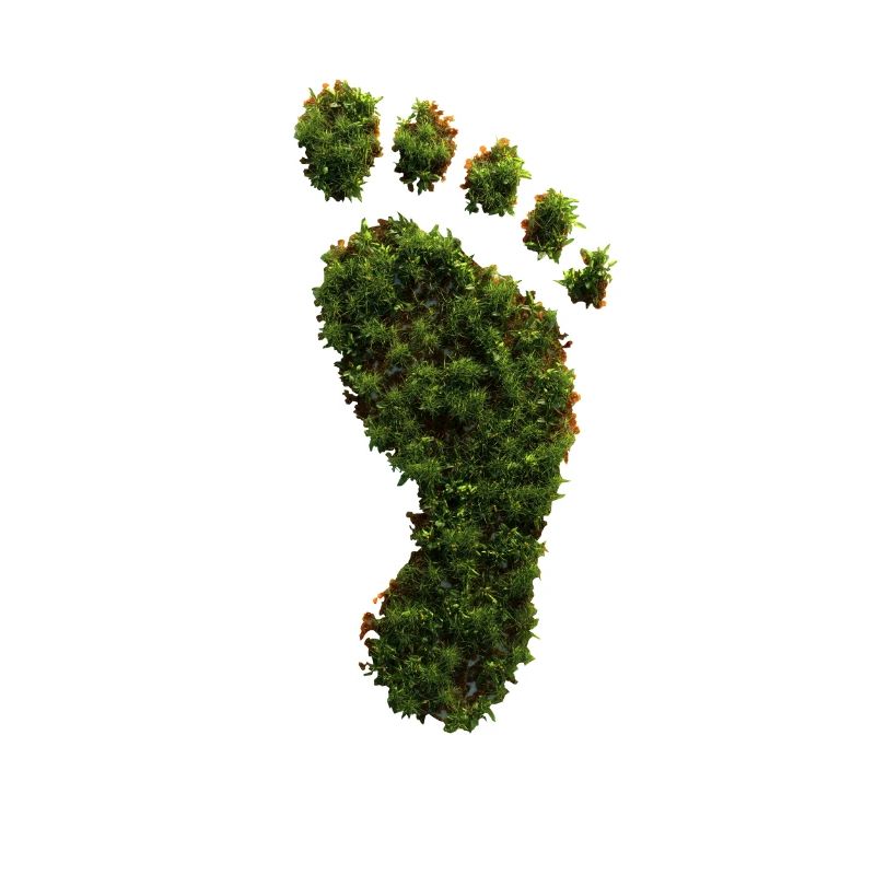 Empreinte écologique