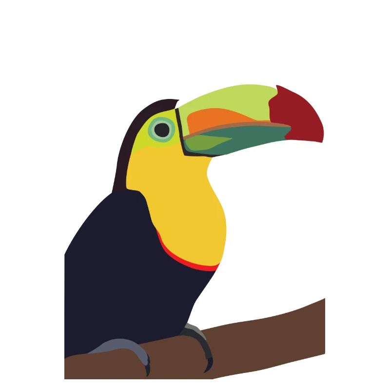 Timmy, le Toucan
