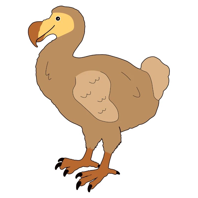 Dodo