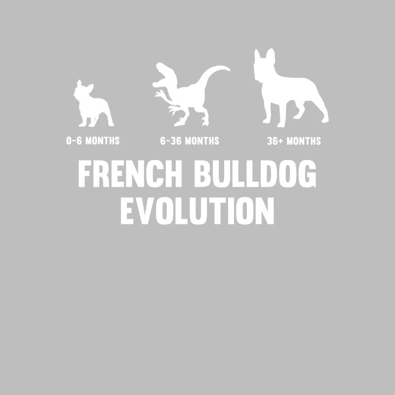 Evolution du bouledogue français pour un