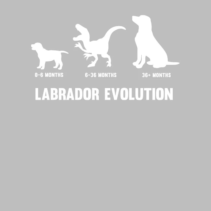 Labrador Evolution pour un propriétaire de chien Labrador