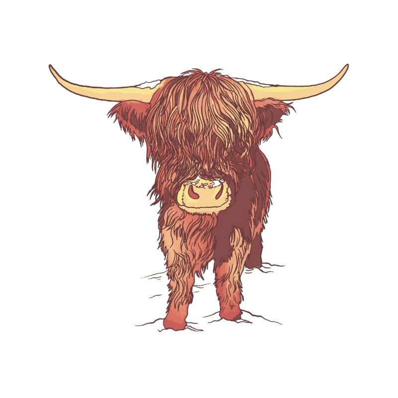 Scottish Highland Cattle Cow Cows Muh Calf