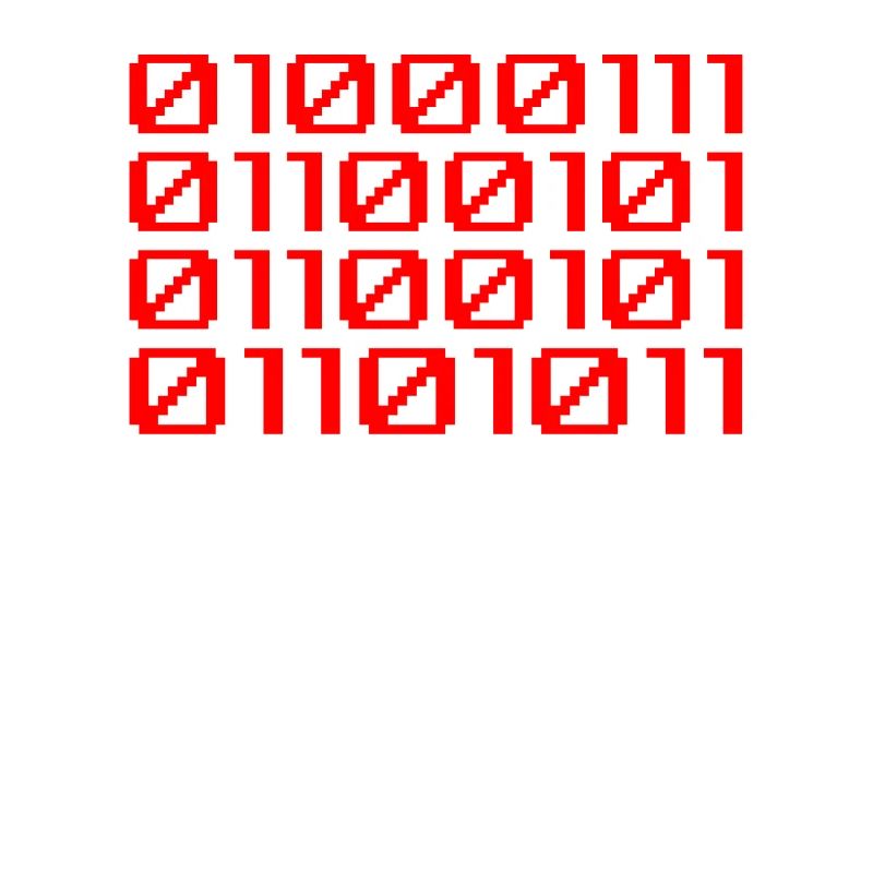 Lustiger Entwickler Binärcode Programmierer Entwickler